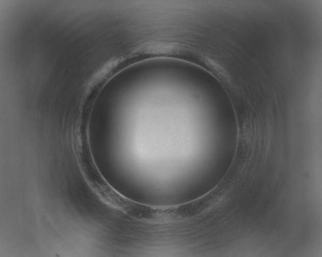 X0000053060682200507111153