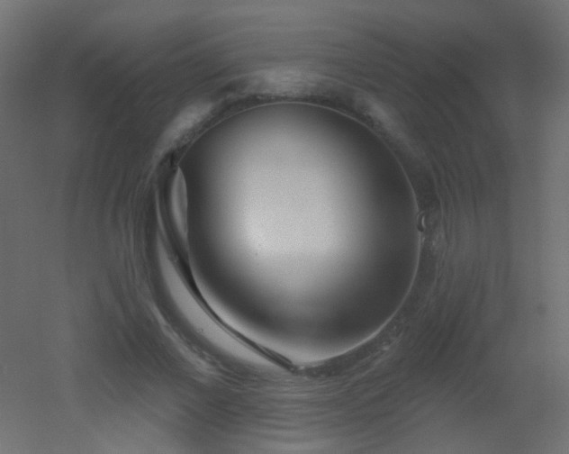 X0000053060685200507111152