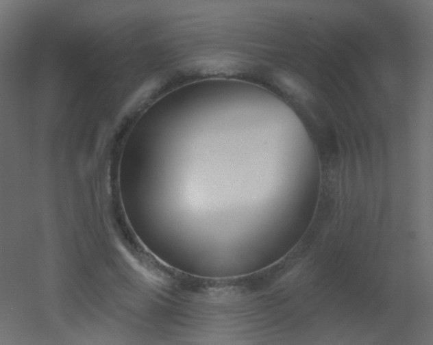 X0000053060686200507111152