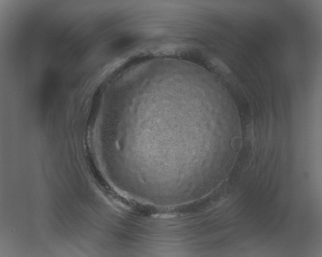 X0000053060687200507111152