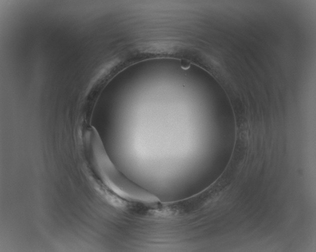 X0000053060688200507111152
