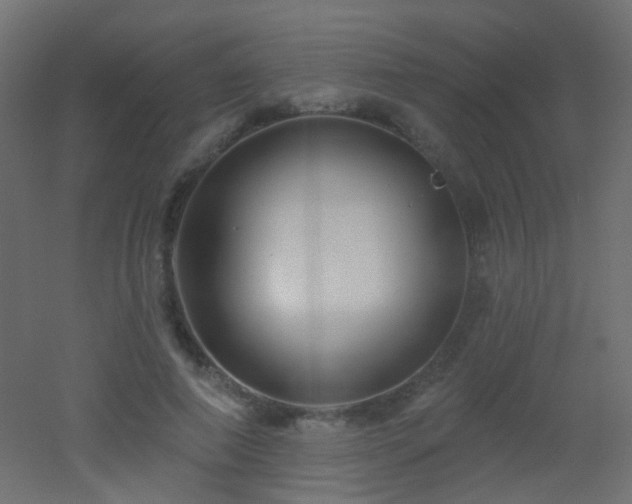 X0000053060690200507111152