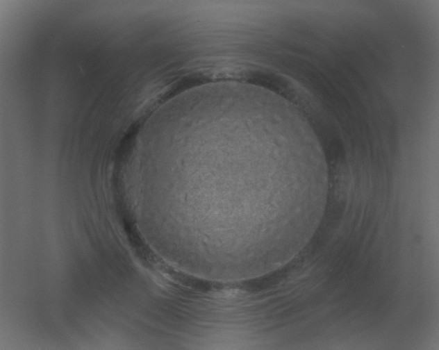 X0000053060695200507111152