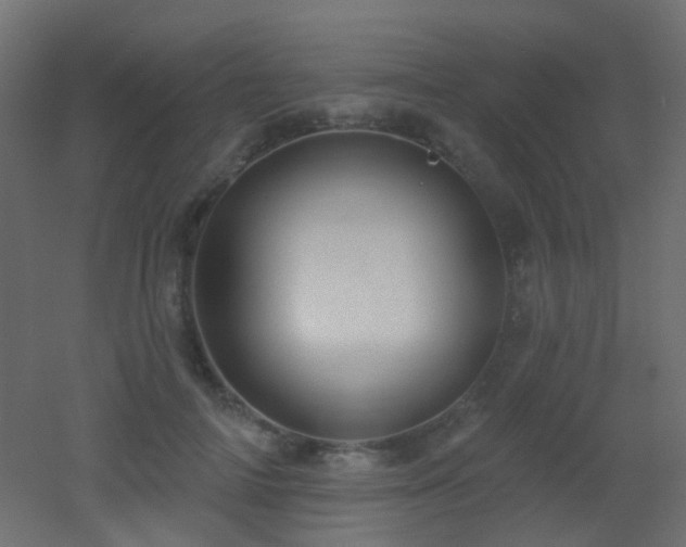 X0000053060698200507111152