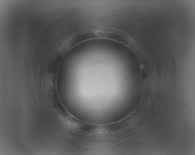X0000053060702200507111152