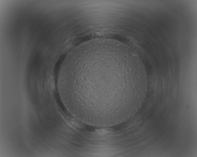 X0000053060703200507111152