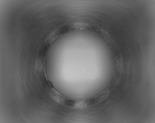 X0000053060705200507111152