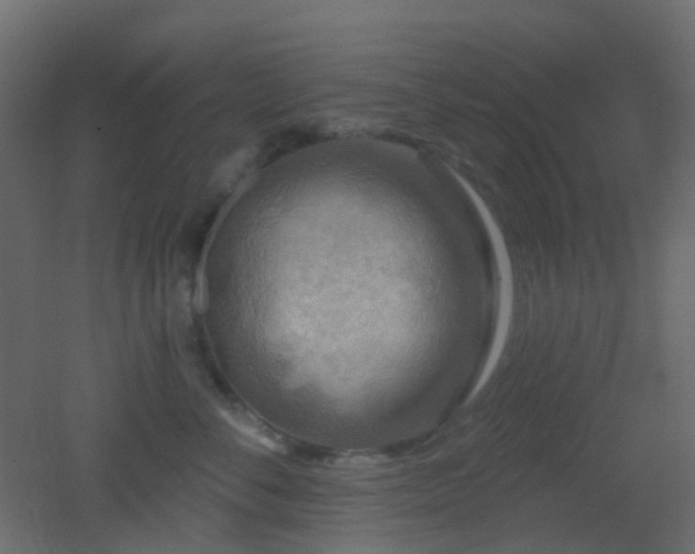 X0000053060716200507111152