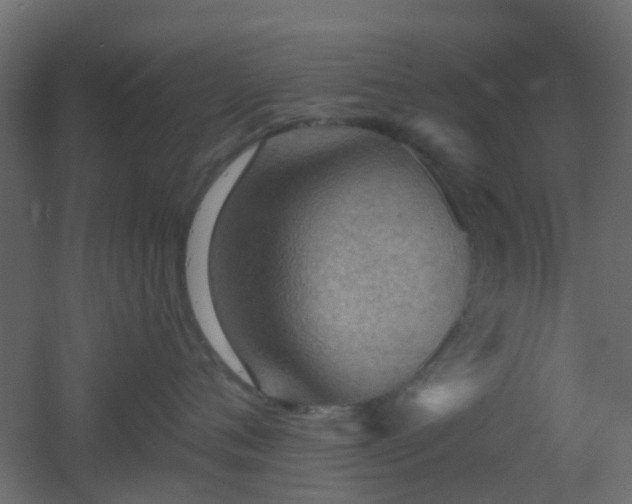 X0000053060720200507111152