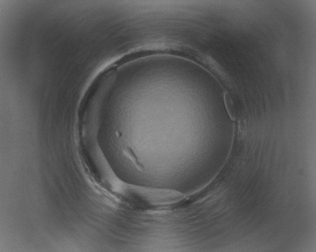 X0000053060724200507111151