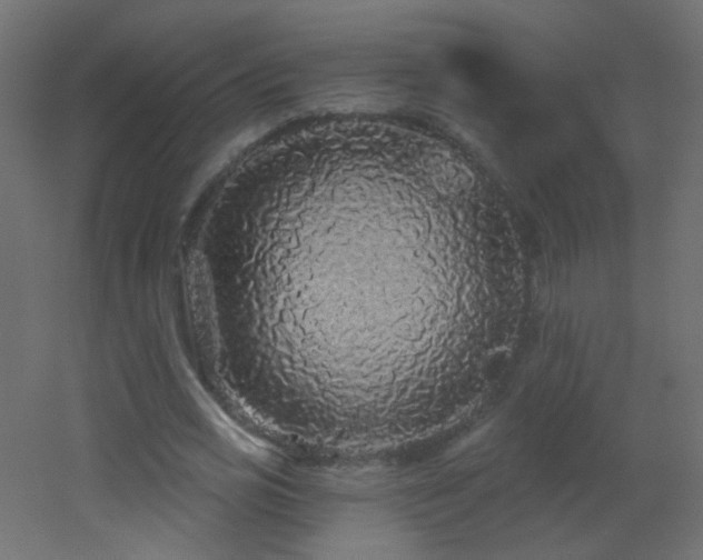 X0000053060725200507111151