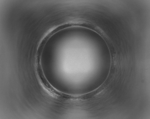 X0000053060726200507111151