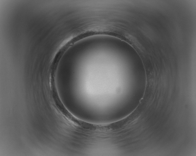 X0000053060727200507111151
