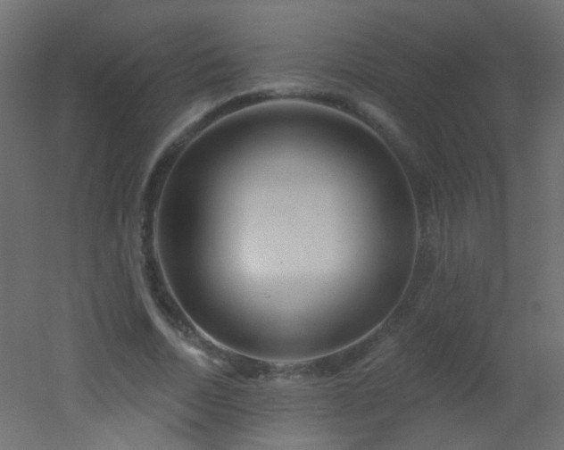 X0000053060730200507111151