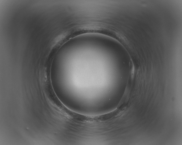 X0000053060731200507111151