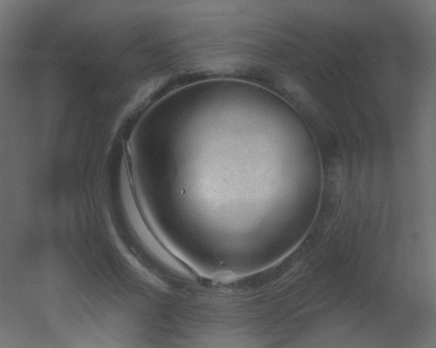 X0000053060734200507111151