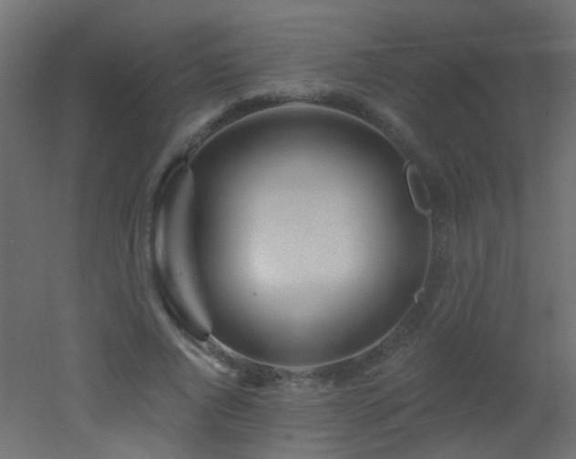 X0000053060736200507111151