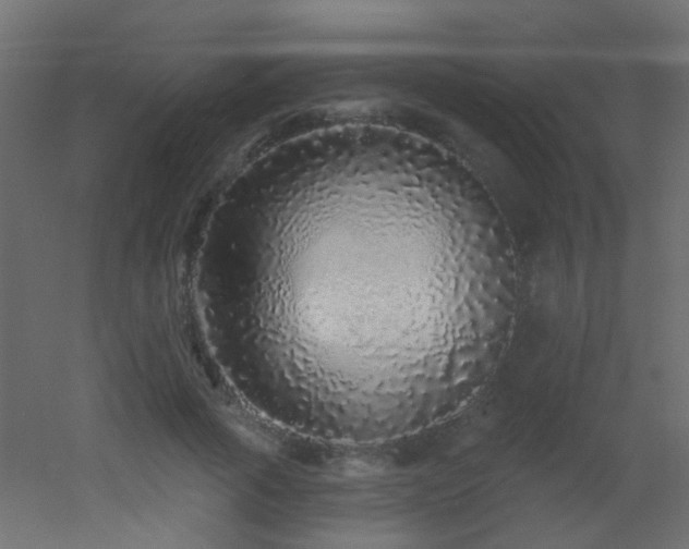 X0000053060737200507111151