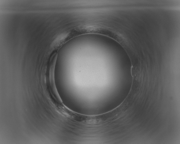 X0000053060740200507111151