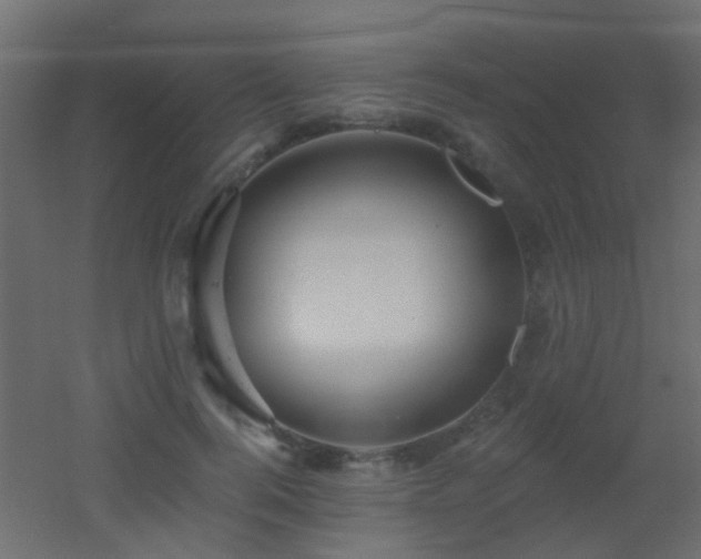 X0000053060744200507111151