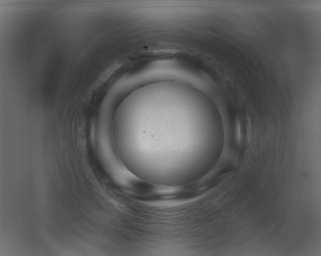 X0000053060750200507111152