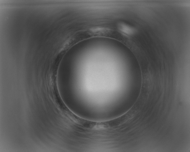 X0000053060751200507111152