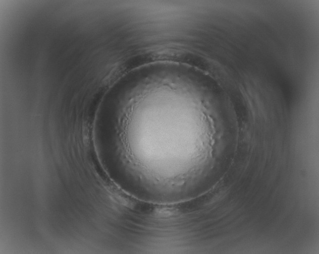 X0000053060753200507111152
