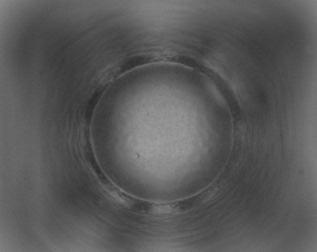X0000053060757200507111152