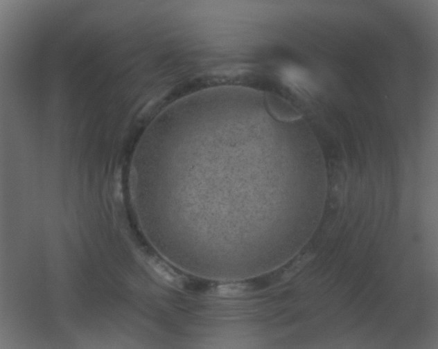 X0000053060758200507111152