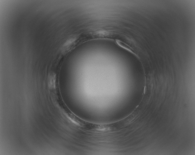 X0000053060760200507111152