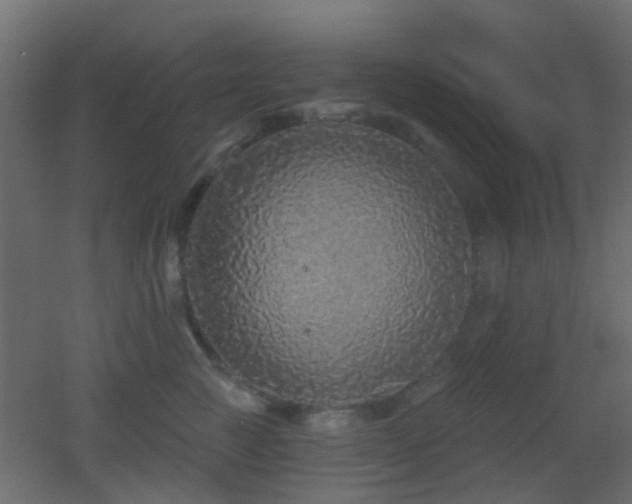 X0000053060761200507111152