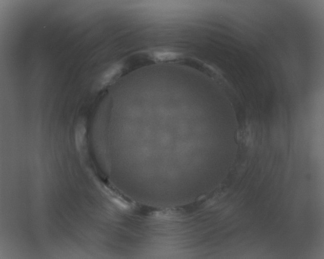 X0000053060763200507111152