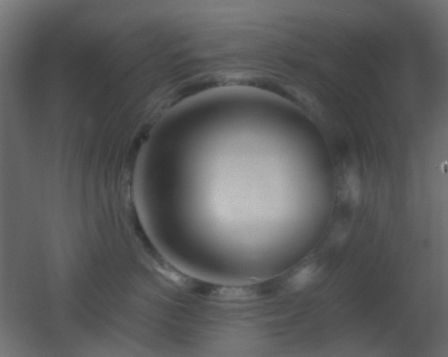 X0000053060766200507111152