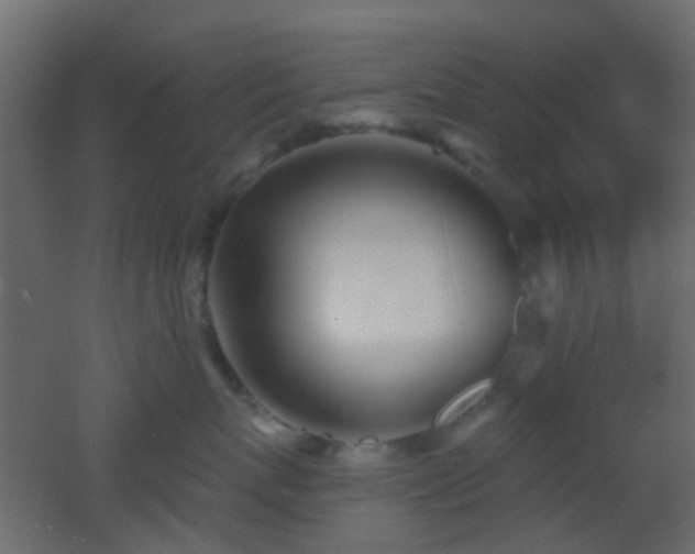 X0000053060767200507111152