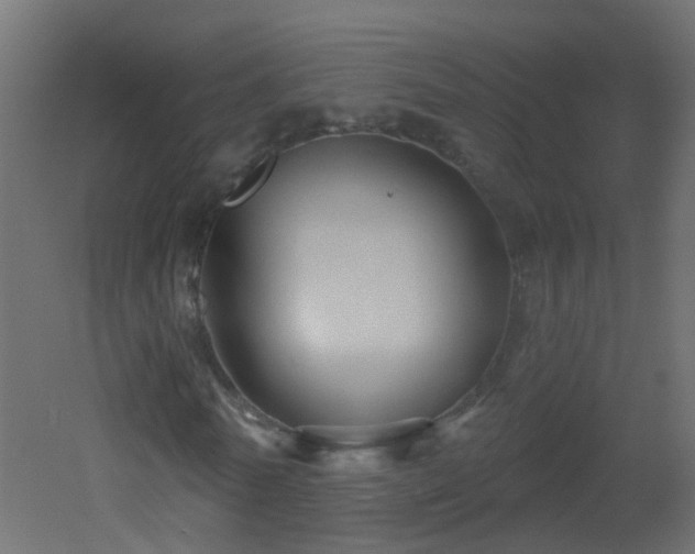 X0000053060770200507111151