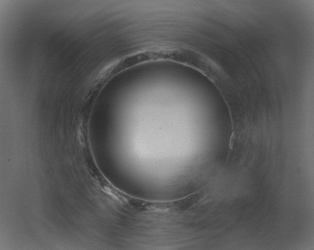 X0000053060773200507111151