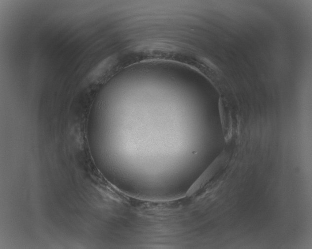 X0000053060774200507111151