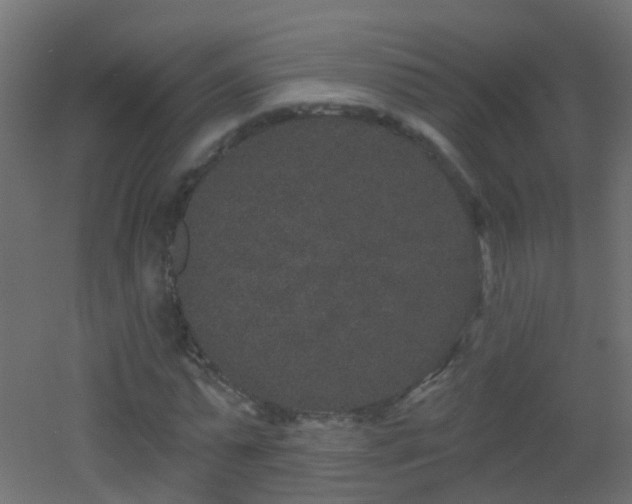 X0000053060775200507111151