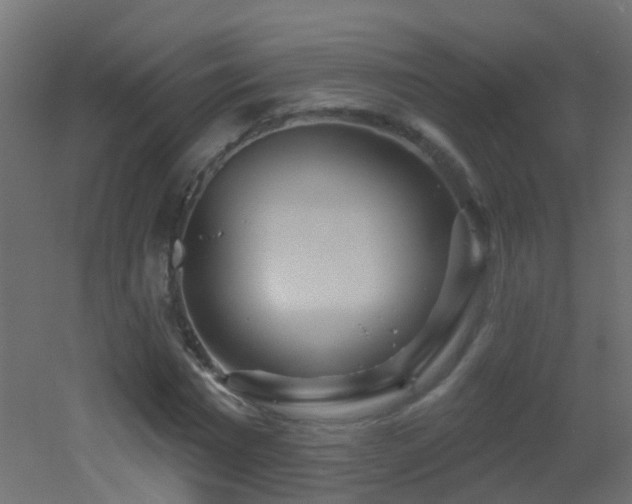 X0000053060777200507111151