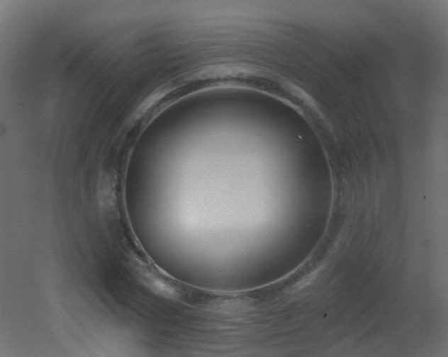 X0000053060778200507111151
