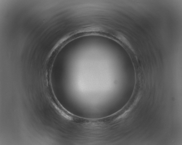 X0000053060781200507111151