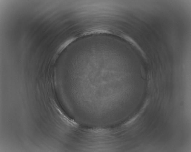 X0000053060785200507111151