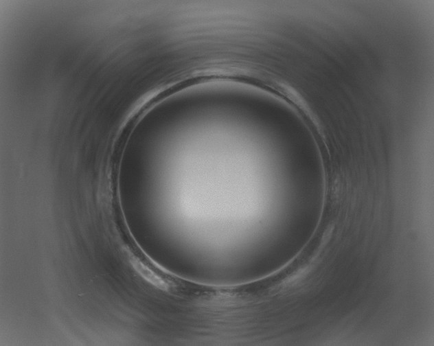 X0000053060787200507111151