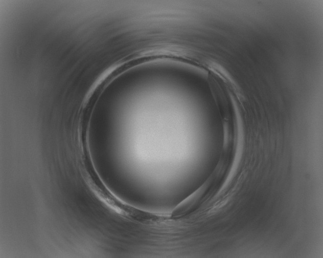 X0000053060788200507111151