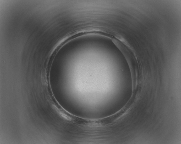 X0000053060789200507111151