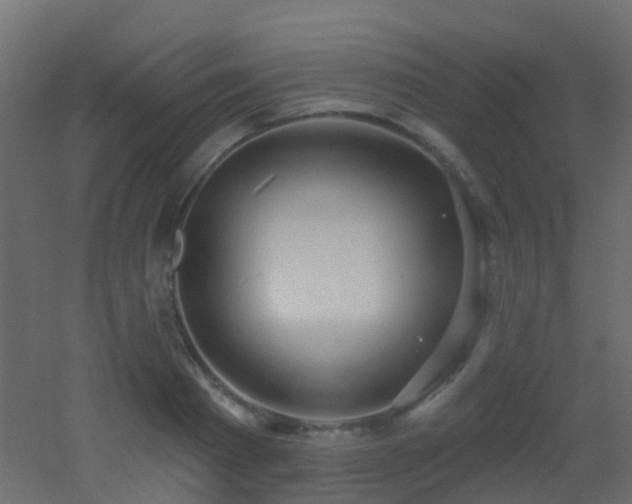 X0000053060793200507111151