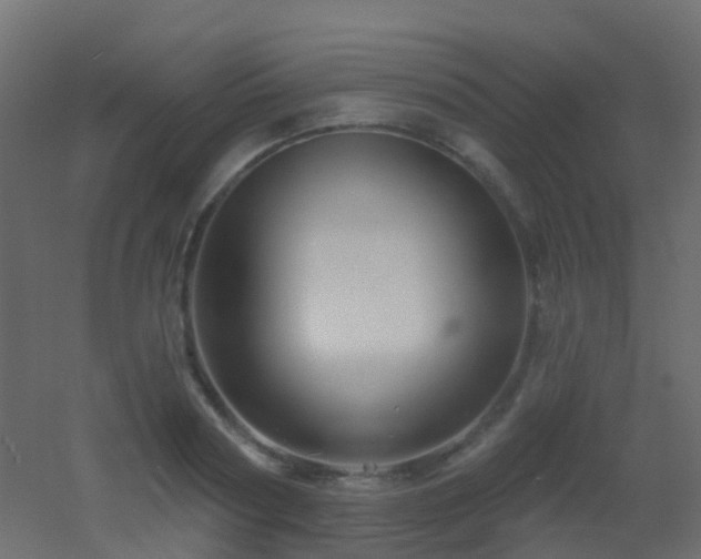 X0000053060794200507111151