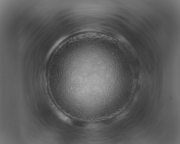 X0000053060796200507111151
