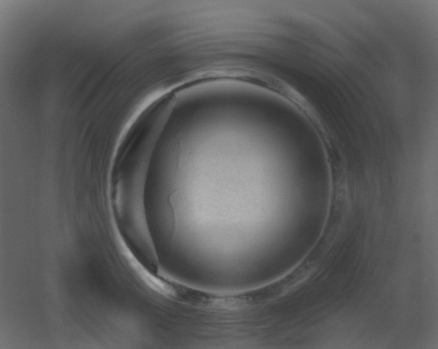 X0000053060803200507111150