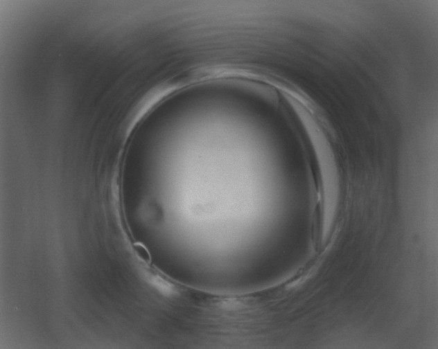 X0000053060814200507111150